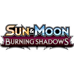 Collection image for: Burning Shadows