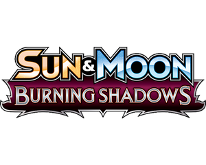 Collection image for: Burning Shadows