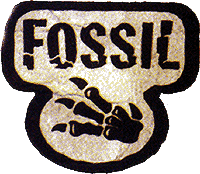 Collection image for: Fossil