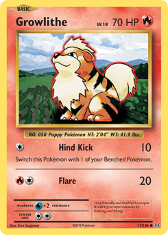 Growlithe #017/108 Common / Evolutions