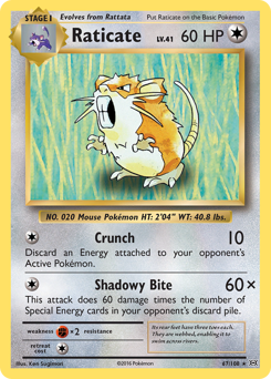 Raticate #067/108 Rare (Normal) / Evolutions