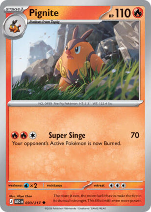 Pignite #030/217 Uncommon / Ascended Heroes